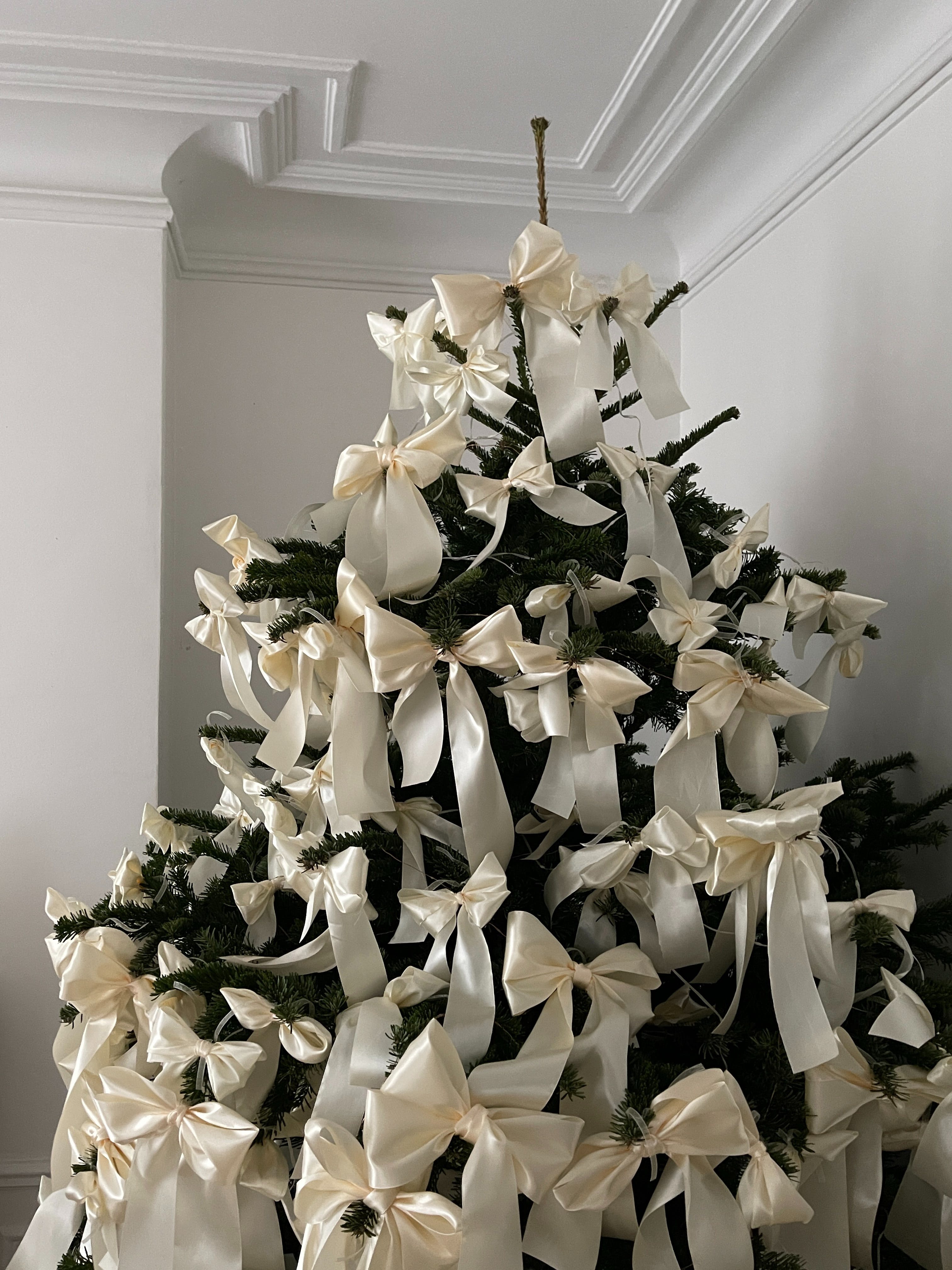 Halte die Sauberkeit aufrecht und bewahre die Motivation für die Weihnachtsreinigung