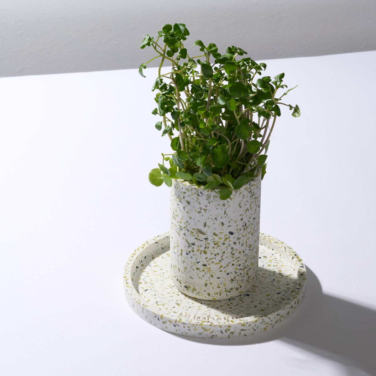 HUMDAKIN Grünes Terrazzo Vase Terrazzo 00 Neutral/No color